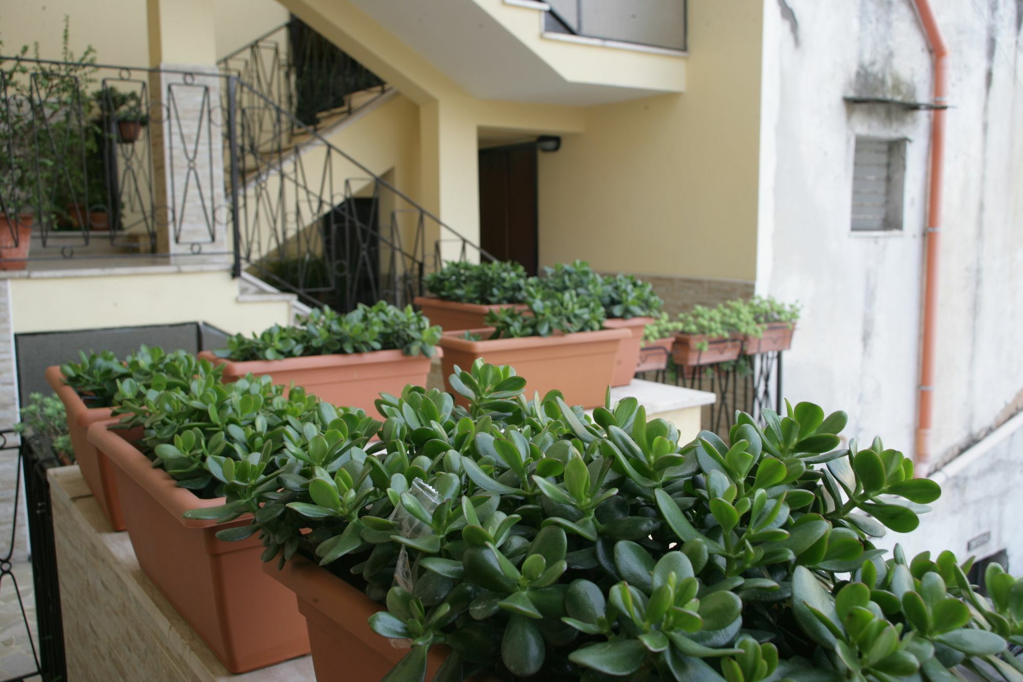 Casa Carmen Apartment Napoli Ngoại thất bức ảnh